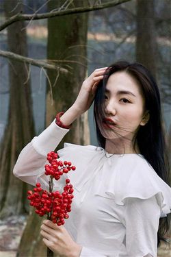 打朴克网页平台展示